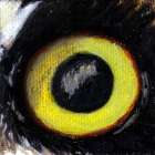 Great Horned Owl Eye Wildlife Collectible Pin