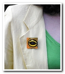 Eye Help Animals Panamanian Golden Frog Wildlife Collectible Pin #29 worn by the artist DJ Geribo
