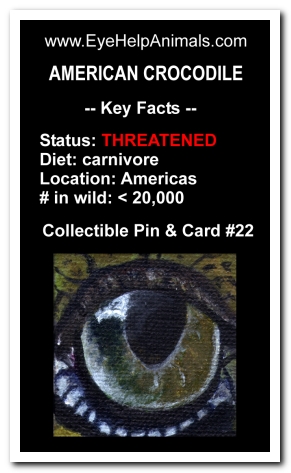 Eye Help Animals American Crocodile Wildlife Collectible Pin Card #22 - Front