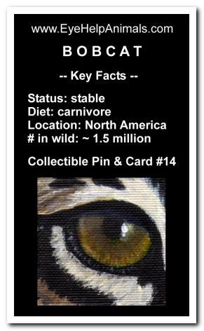 Eye Help Animals Bobcat Wildlife Collectible Pin #14 - Front
