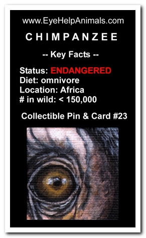 Eye Help Animals Chimpanzee Wildlife Collectible Pin Card #23 - Front