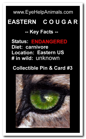 Eye Help Animals Eastern Cougar Wildlife Collectible Pin #3 - Front