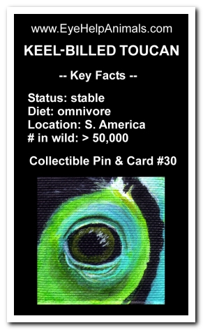 Eye Help Animals Keel-Billed Toucan Wildlife Collectible Pin Card #30 - Front