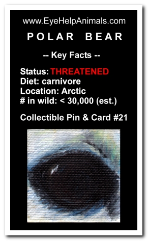 Eye Help Animals Polar Bear Wildlife Collectible Pin #21 - Front