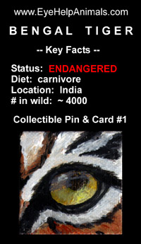 Eye Help Animals Bengal Tiger Eye Wildlife Collectible Pin / Card #1