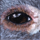 Eye Help Animals - Products That Help Save Wildlife!