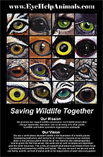 Saving Wildlife Together Poster