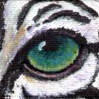 White Tiger Eye Wildlife Collectible Pin