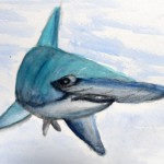 Hammerhead Shark painting by DJ Geribo